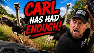 Tuesday Roll Call LIVE