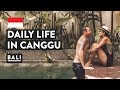 SNAKES IN BALI + DAY IN THE LIFE CANGGU | Indonesia Travel Vlog | Digital Nomad