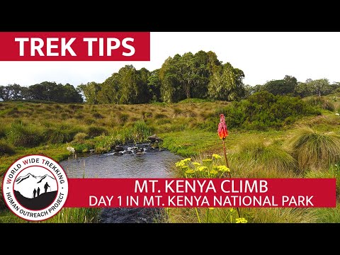 Climbing Mount Kenya Day 1 | Trek Tips