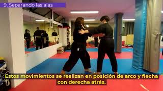 Kenpo Karate - Púrpura - 9. Separando las alas / Maestro Lorenzo Casas