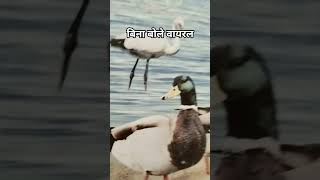 #edit #shortvideo #tecnologia #ytshortsvideo #funnyvideo