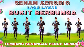 AEROBIC BUKIT BERBUNGA | GERAKAN MUDAH DAN SIMPEL | BAKAR LEMAK BAKAR KALORI | Irna Chendani