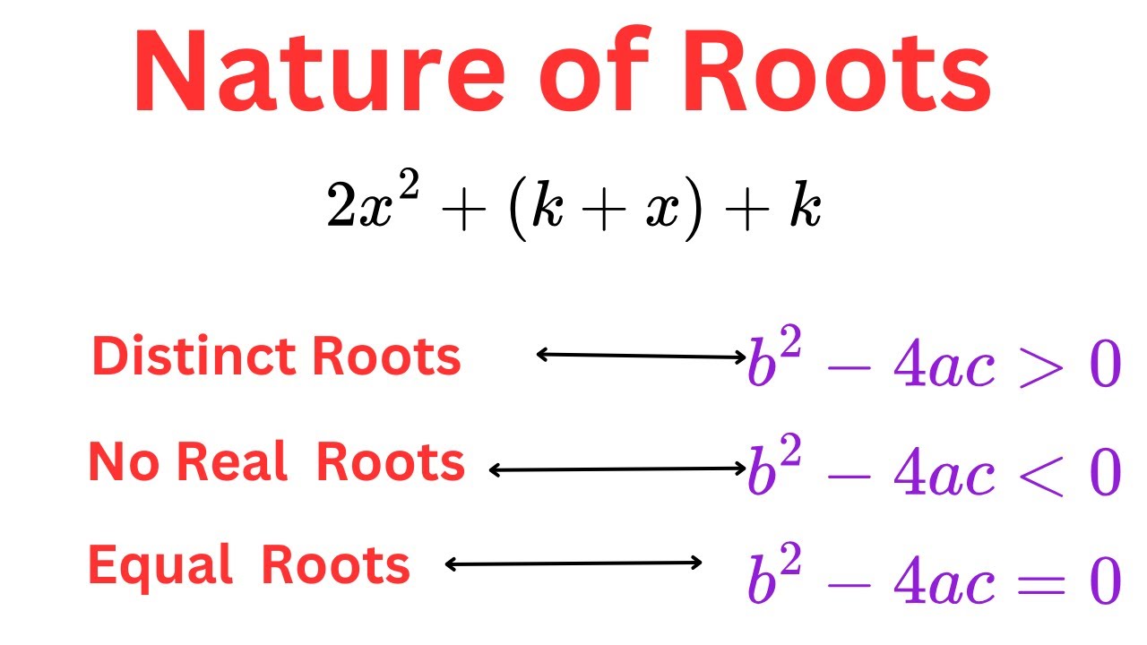 The Nature of Roots of Quadratic Equations – Explained with an Example ...