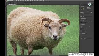 How to Make Soft-Edged Selections in Photoshop | Feathering Made Easy screenshot 4