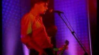suede - pantomime horse live