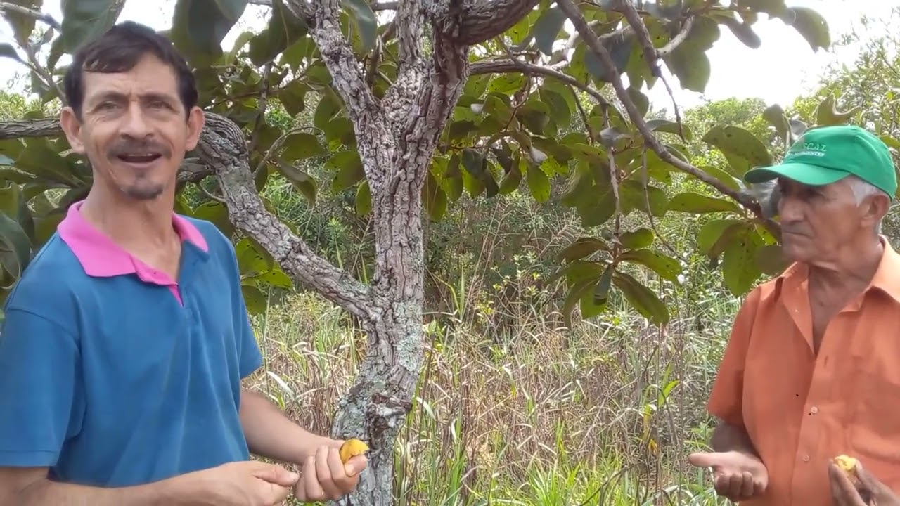 Expedição e descobertas em abril de 2025!