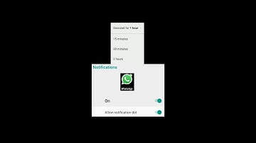 Snooze Notification & Notification Dot on Android 8 Oreo (Xiaomi Mi A1)