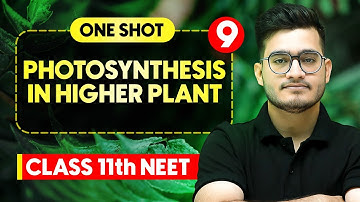 PHOTOSYNTHESIS IN HIGHER PLANTS - Complete Chapter in One Video || Concepts+PYQs || Class 11th NEET