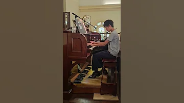 Playing Beethoven 5th On Pipeorgan Music Musician Beethoven Organmusic Viral Classicalmusic 