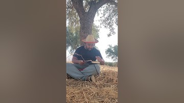 #ما ننسخ من آية أو نُنسِئها"، وهي الآية رقم 106 من سورة البقرة