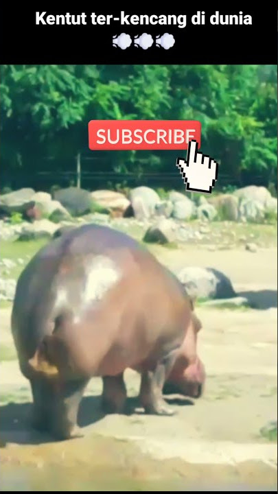 Download lagu #SHORT Kentut terpanjang dan terkencang di dunia #hippofart