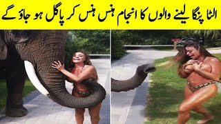 الٹا پنگا لینے والوں کا انجام ہنس ہنس کر پاگل ہو جاؤ گے | Instant Regret Try Not To Laugh | Funny