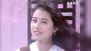 周海媚 - 黎明《今生无悔》插曲《对不起我爱你》