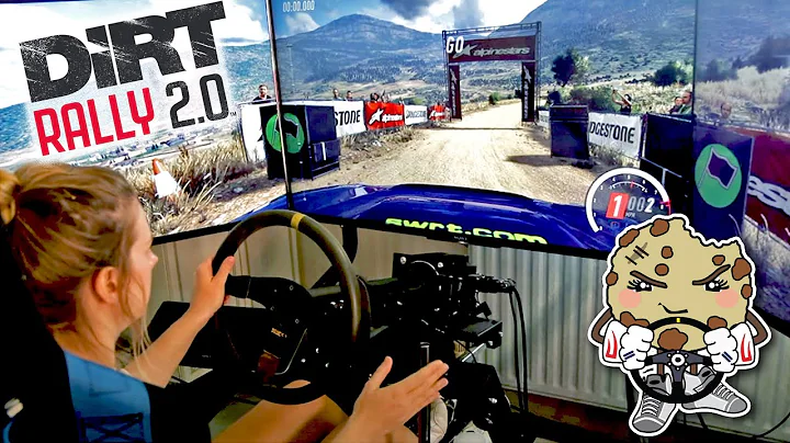Most Fun Ever on Dirt Rally 2.0 - Rally Driver Lou...