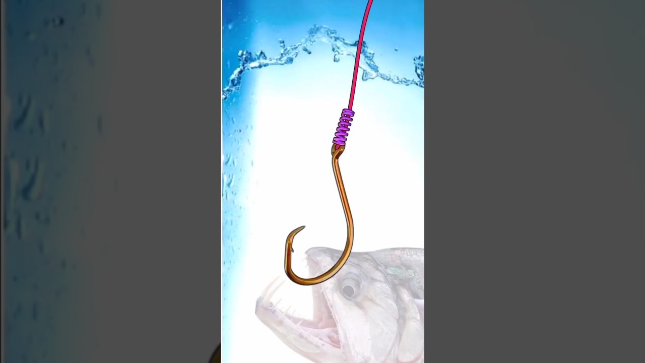 Simple fishing hooks knots 