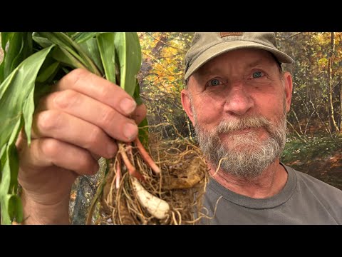 How To Cook Ramps