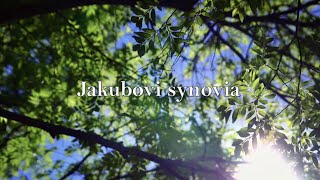 BIBLIA 7 | Jakubovi synovia