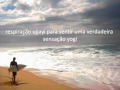 Ziggy Marley - Beach in Hawaii (tradução)
