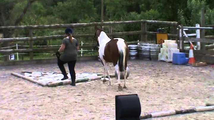 Hannah Tolley and Samba