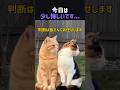 今日は少し悔しいです……