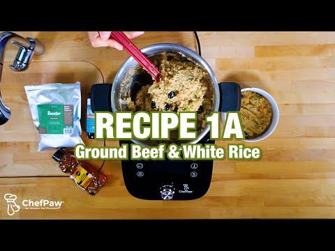 Homemade Dog Food