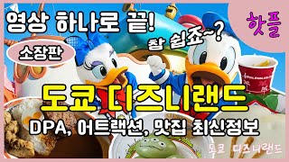 초간단 도쿄 디즈니랜드 공략집! DPA /40주년패스/인기어트랙션/인기맛집메뉴/15개의 어트랙션 후기까지 싹 정리 日本語字幕あり/with English subtitles