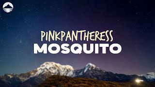 PinkPantheress - Mosquito | Lyrics