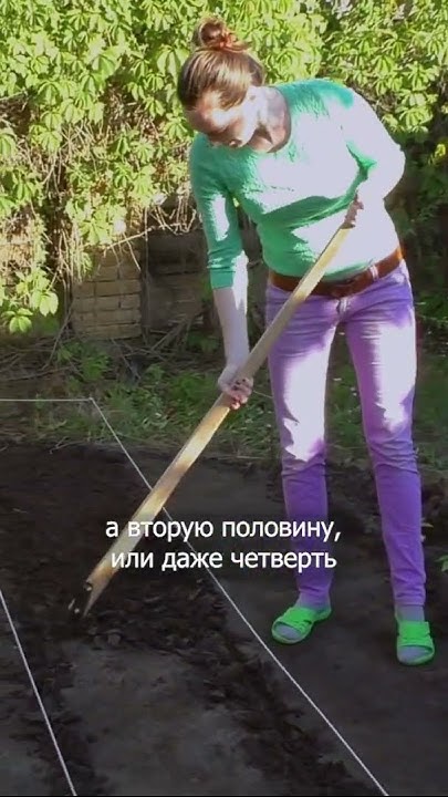 Чудо грядки И Огород БЕЗ ТРАКТОРА Дачный агроном - YouTube
