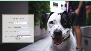 React/Redux Flatiron project October 2020