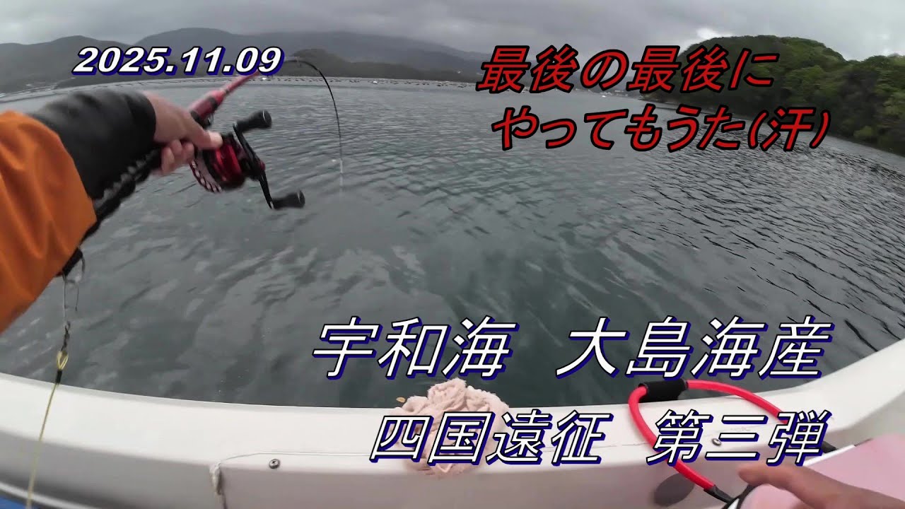 【かかり釣り】2025 11 09　四国遠征釣行第三弾　宇和海 大島海産
