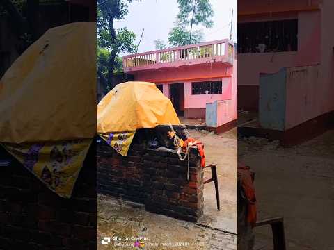 Karma vlog 🌄 🤟🥳#viralvlog  #minivlog