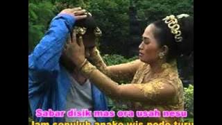 sinten remen,susu jaran teji