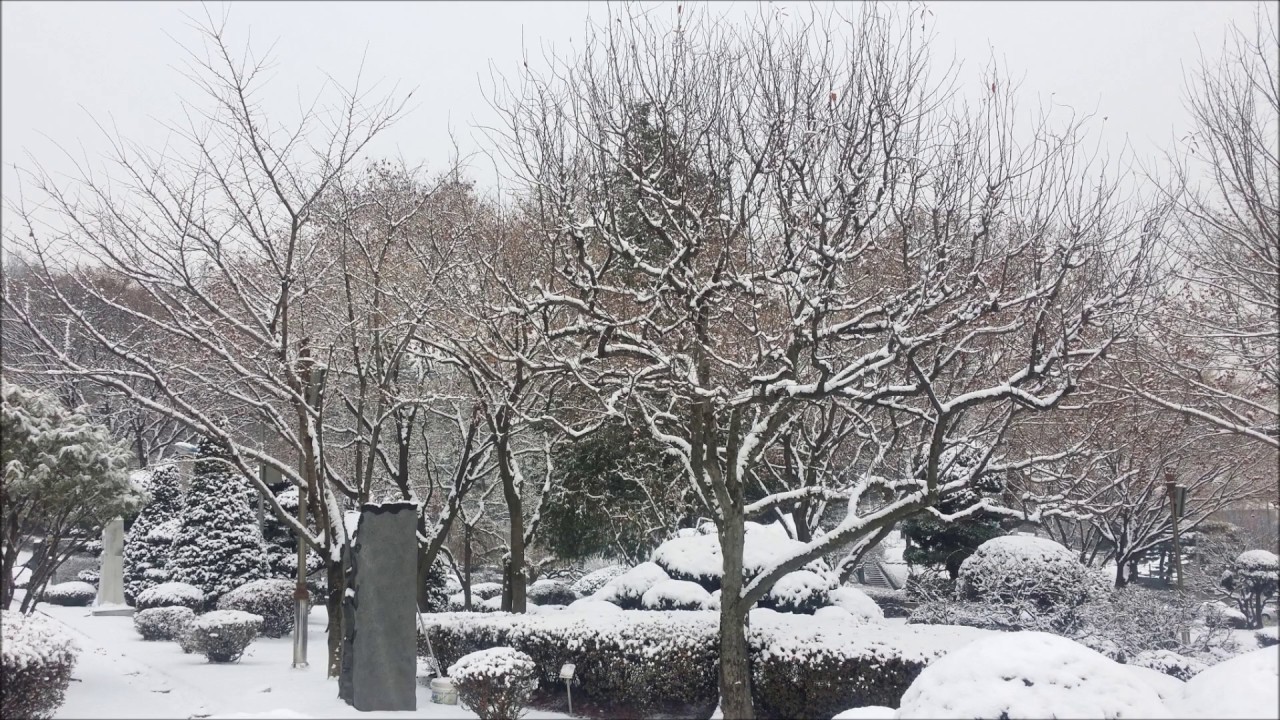 [Whynews Channel] Gyeonggi-do Provincial Government