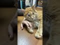 Любовь 🤗❤️❤️❤️