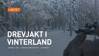 Drevjakt i vinterland