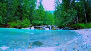 Escape to Pure Serenity: Dreamy Piano & Peaceful Flute with Forest Sounds for Deep Relaxation