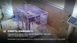 Житель Иркутска пытался убить собаку ножом, но ранил себя Житель Иркутска пытался убить собаку ножом, но ранил себя