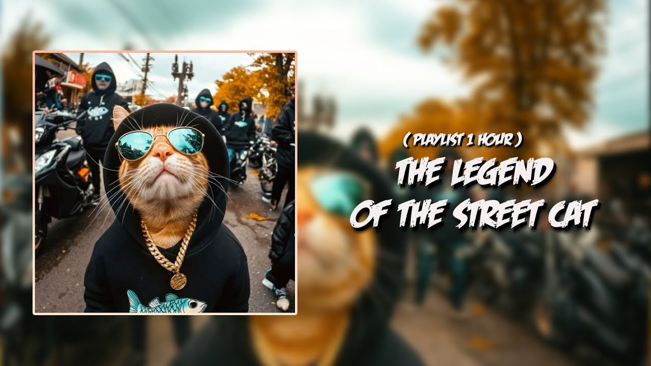 When Doom Wears Sunglasses – The Legend of the Street Cat