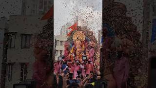 Download Lagu Bappa Maza Lalbaugg Cha Raja || 2024|| Darshan ||#lalbaug #lalbaugcharaja #lalbaughcharaja #shorts MP3 Download Lagu Bappa Maza Lalbaugg Cha Raja || 2024|| Darshan ||#lalbaug #lalbaugcharaja #lalbaughcharaja #shorts MP3