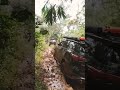 Perjuangan seekor Fortuner Keluar dr Kubangan #offroad #shorts