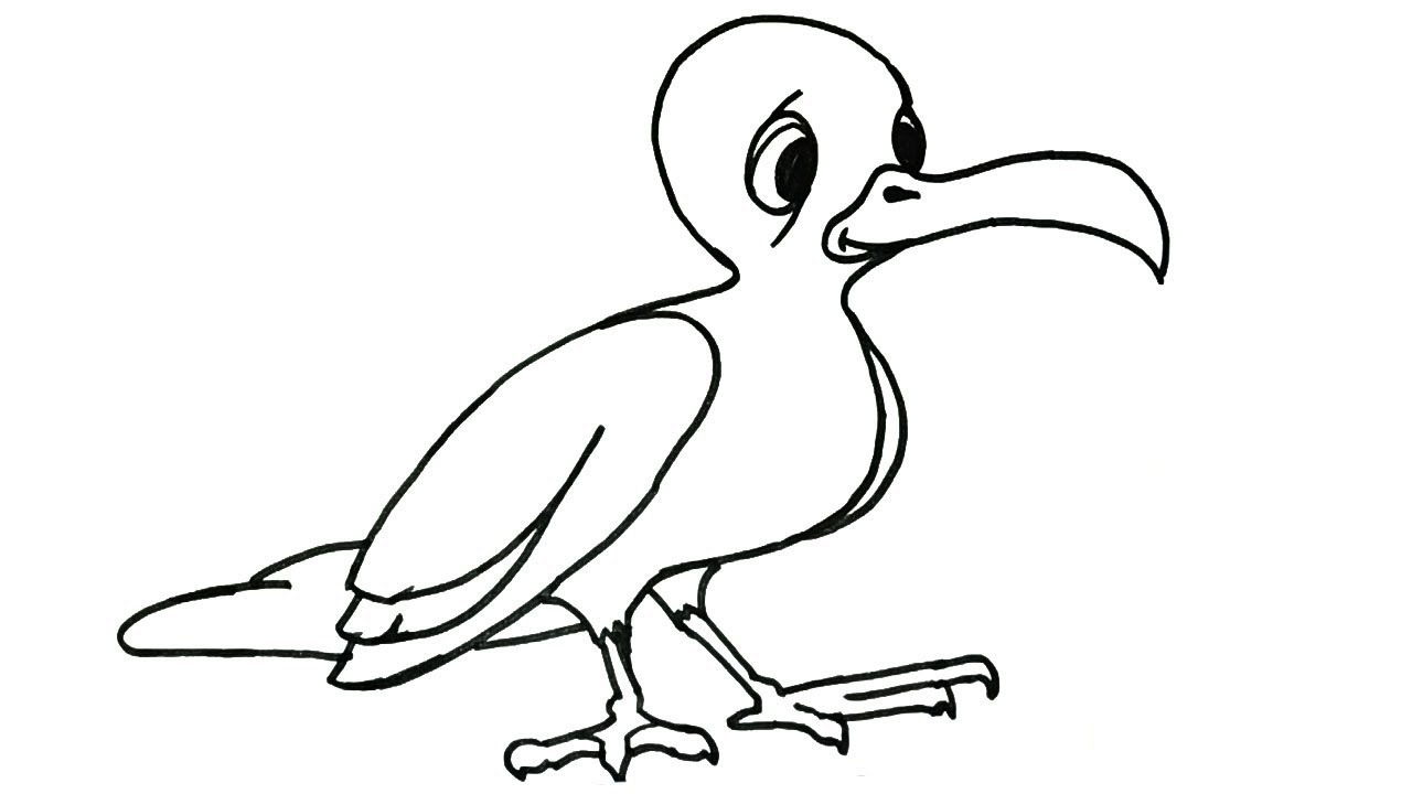 How to draw a Seagull How to draw birds Drawing Easy