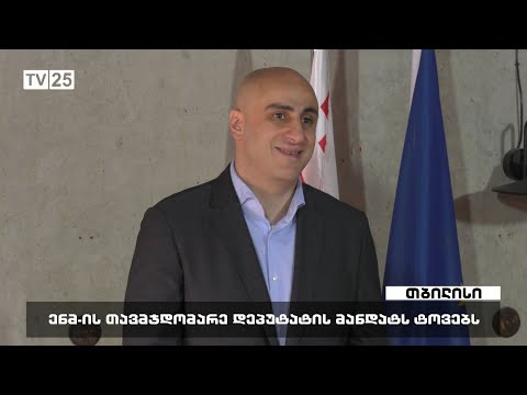 ენმ-ის თავმჯდომარე დეპუტატის მანდატს ტოვებს