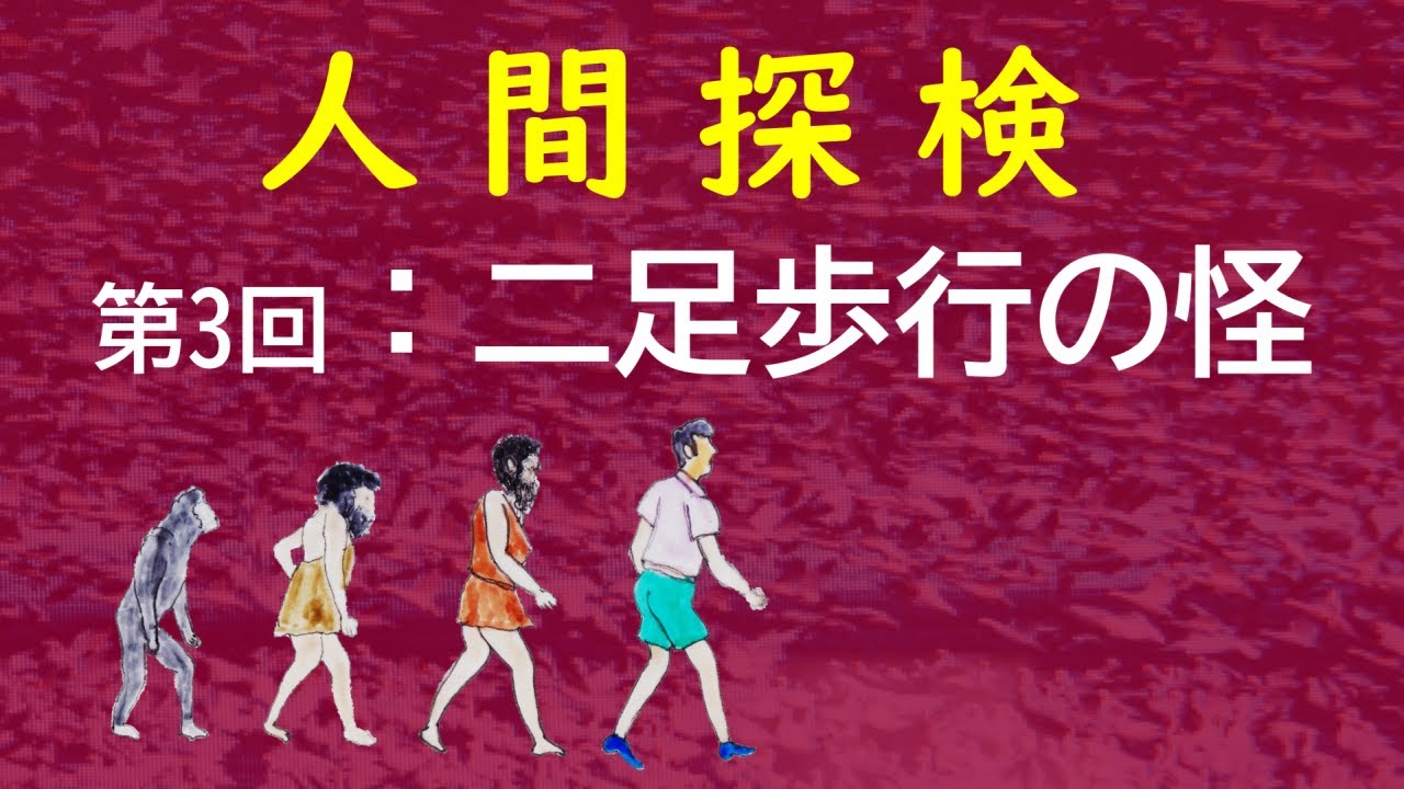 人間探検 動物行動学から見たヒトとヒトの社会 第3回 「理不尽な直立二足歩行」 - YouTube