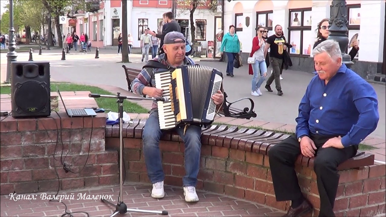 Песня уличный дядя. Уличный аккордеонист. Витя кот брест. Уличный певец. Уличные пеквцы.