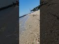 安眠に使える潮の音by日間賀島2025