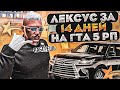 ЛЕКСУС ЗА 14 ДНЕЙ НА ГТА 5 РП ВОЗМОЖНО? ИСПОЛЬЗУЕМ ВСЕ СПОСОБЫ ЗАРАБОТКА! GTA 5 RP