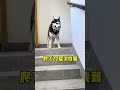 How strong is Erha's revenge mentality? Youwang Yunduo 20 push-type floor scrubber, a non-stinki