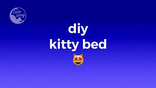 diy kitty bed for outdoor use by Catio Living 303 views 4 years ago 1 minute, 30 seconds