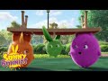 Cartoons For Children | SUNNY BUNNIES - Showtime! | New Episode | Season 4 | Cartoon