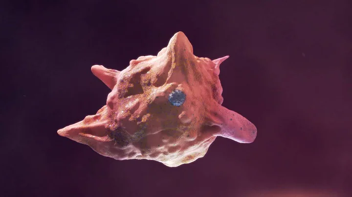 Protecting Against Infectious Bronchitis Using Vaccines